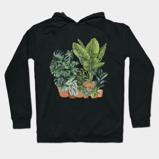 House Plants 11 Hoodie